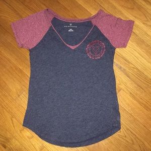 Prince & Fox blue and maroon V-neck T-shirt
